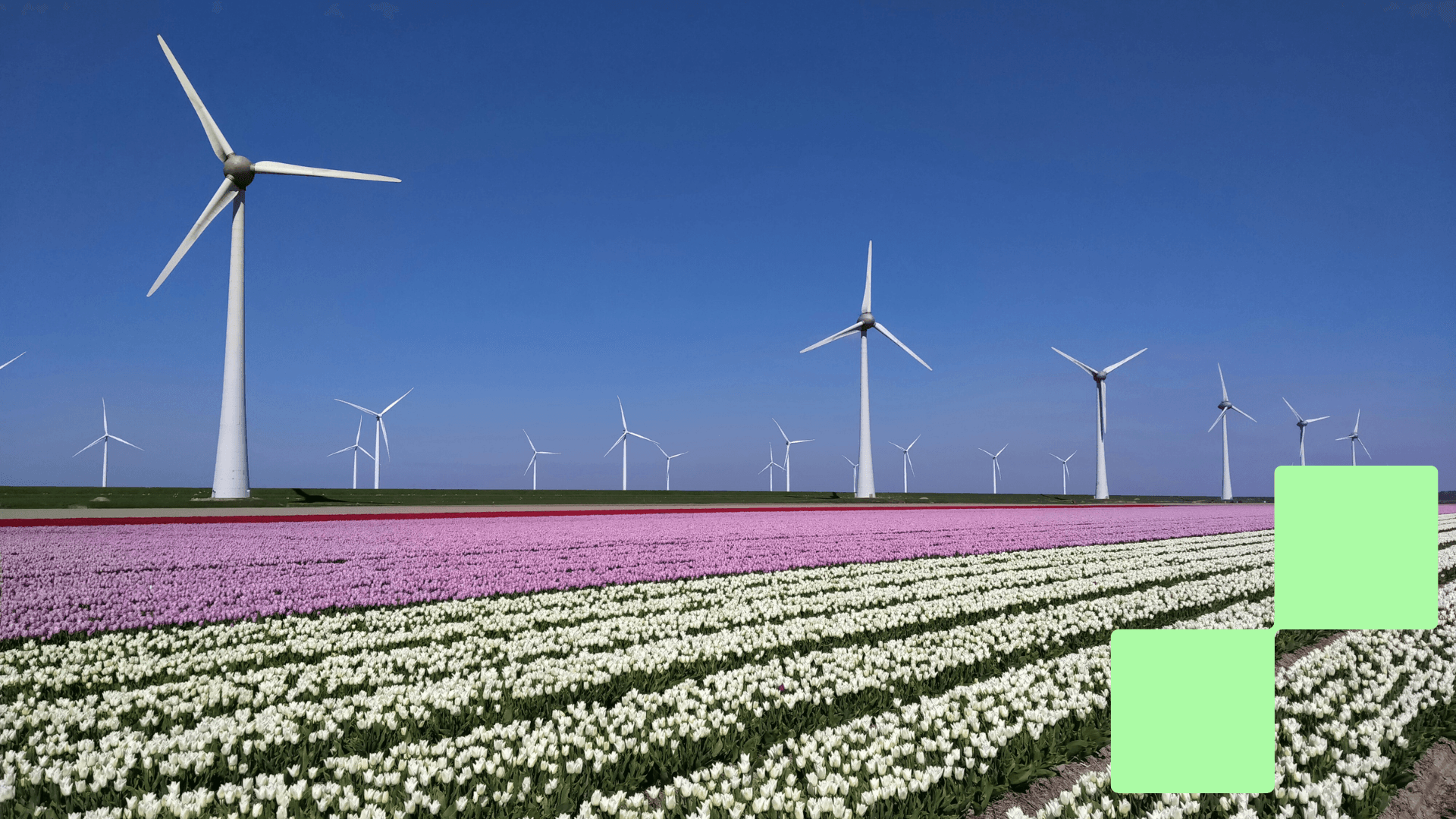 Dutch energy transition