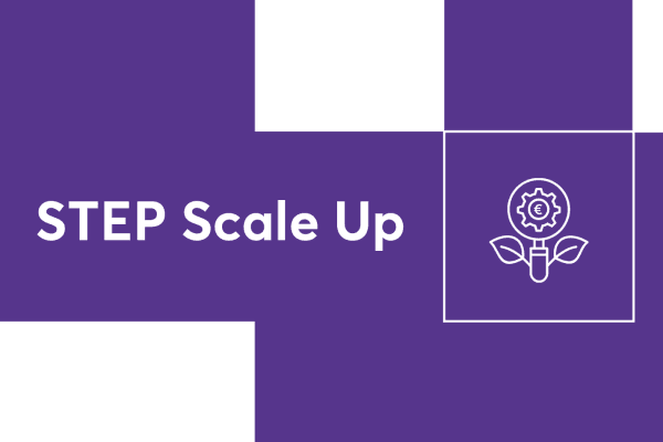 step scale up
