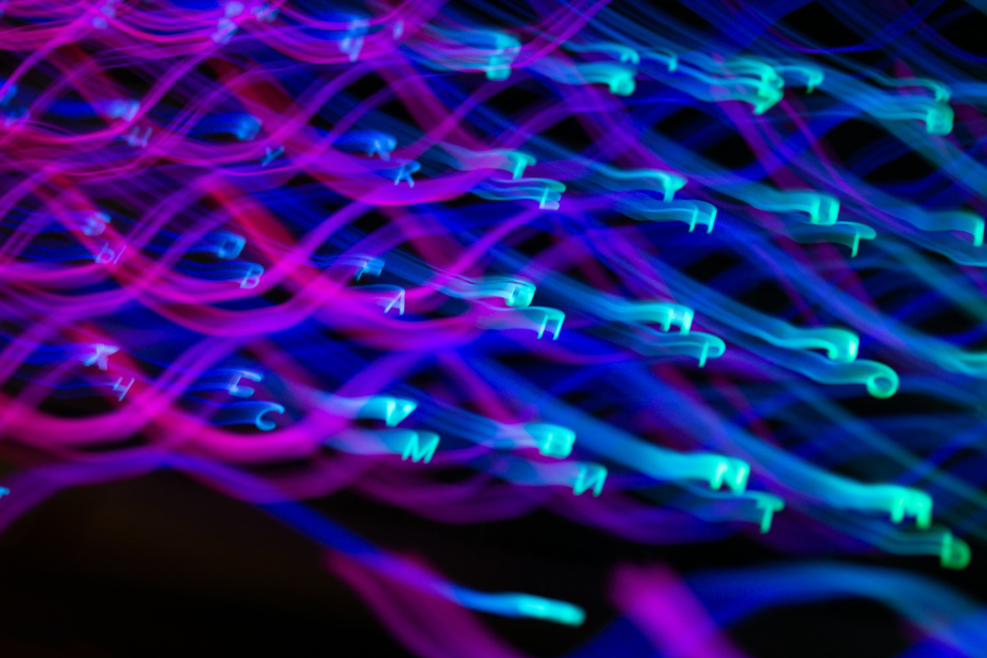 quantum network