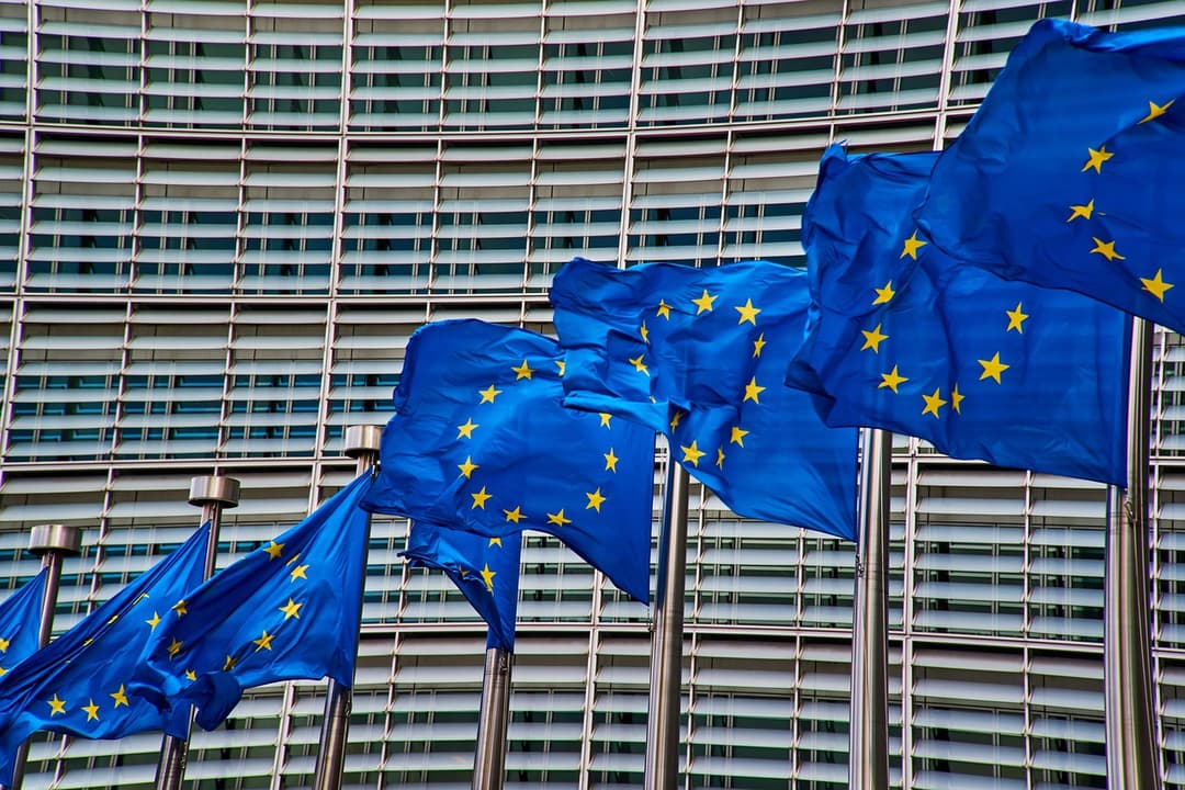 Het Europese Alternatief 