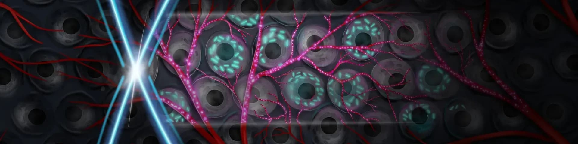 tissue imaging