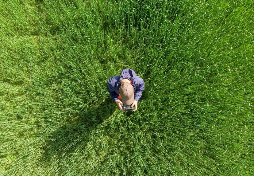 Drone perspective