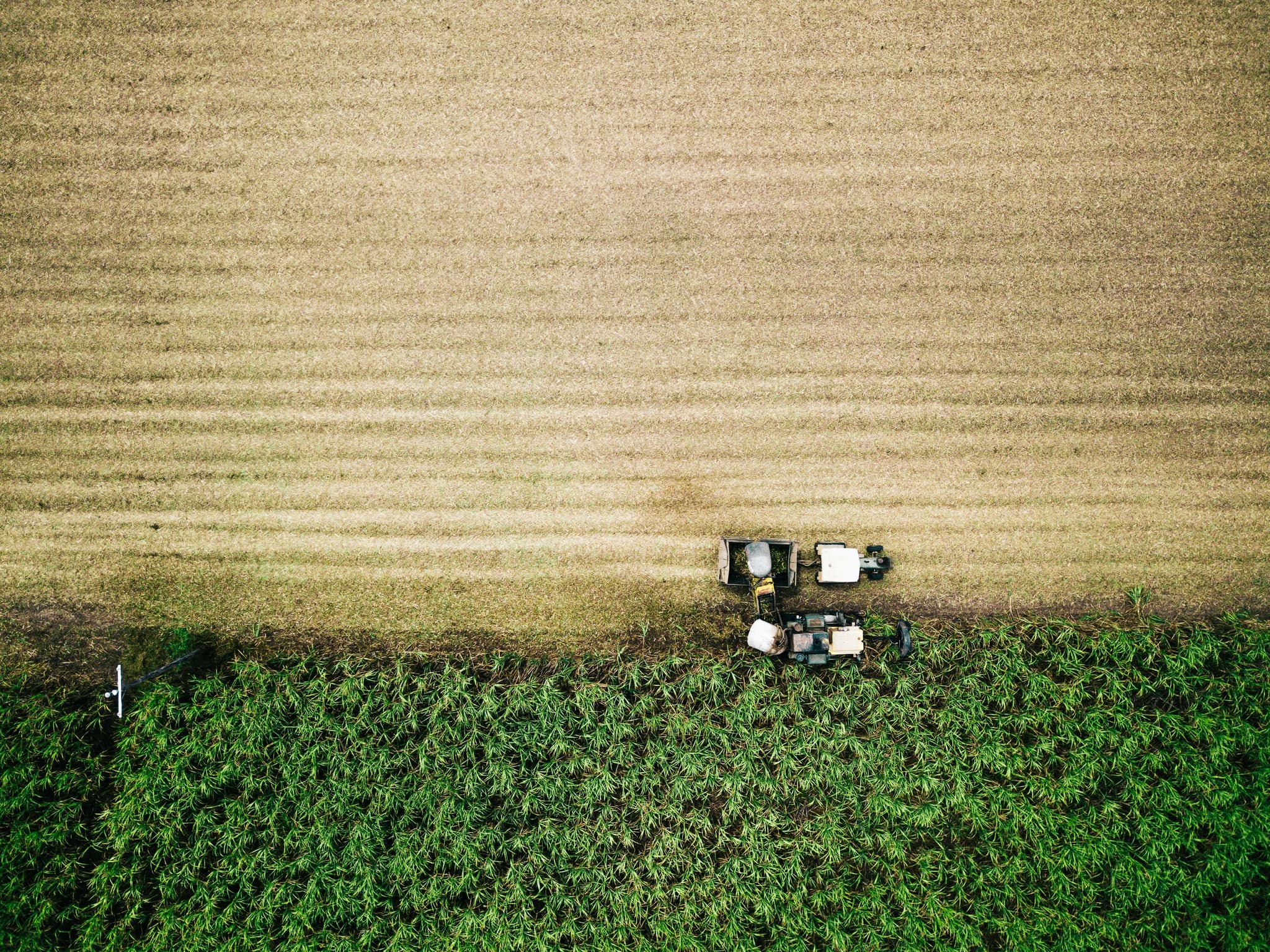biofuels