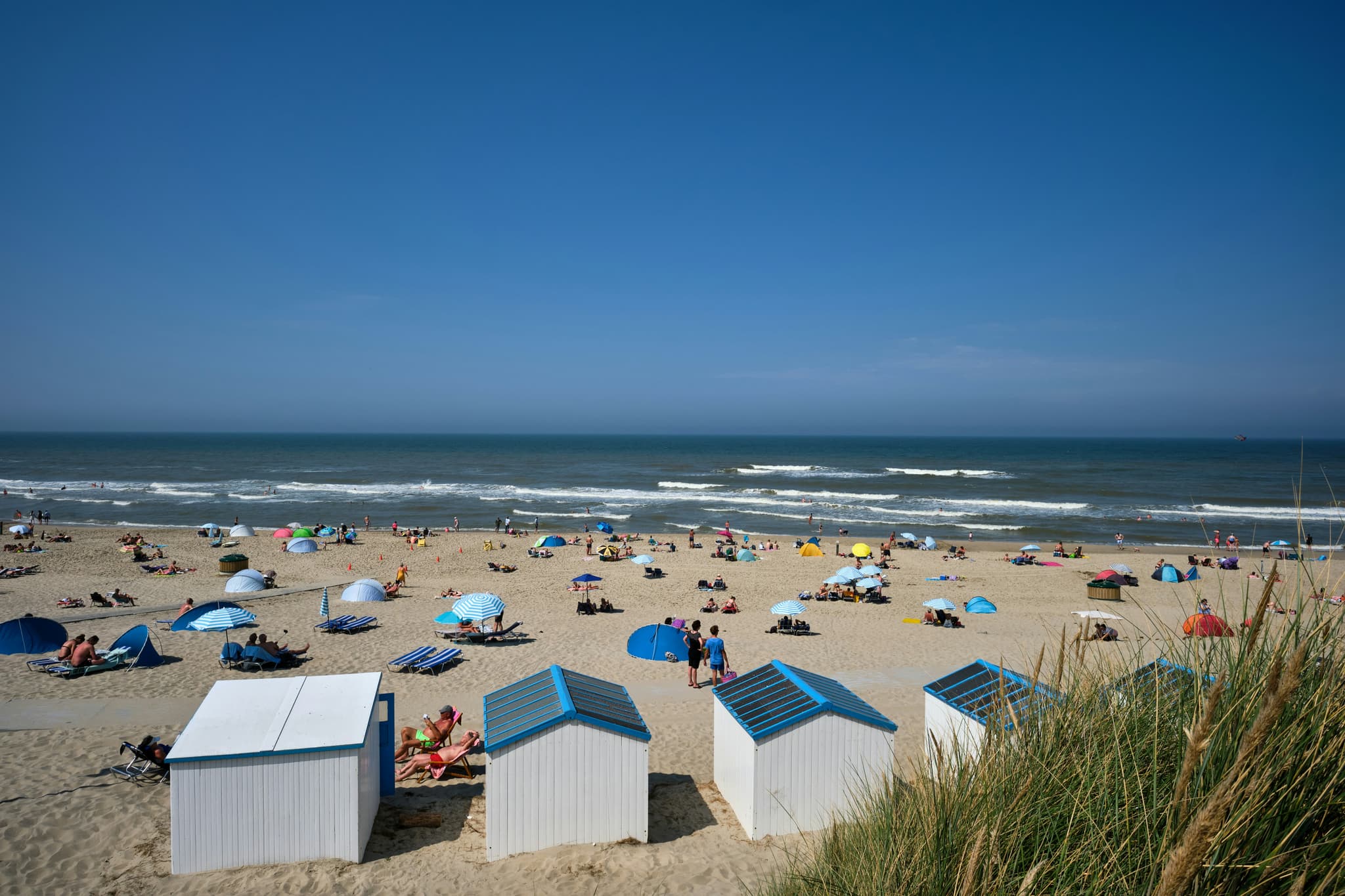 Dutch heatwave