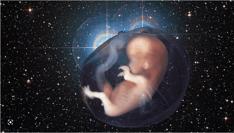 Image: Spaceborn