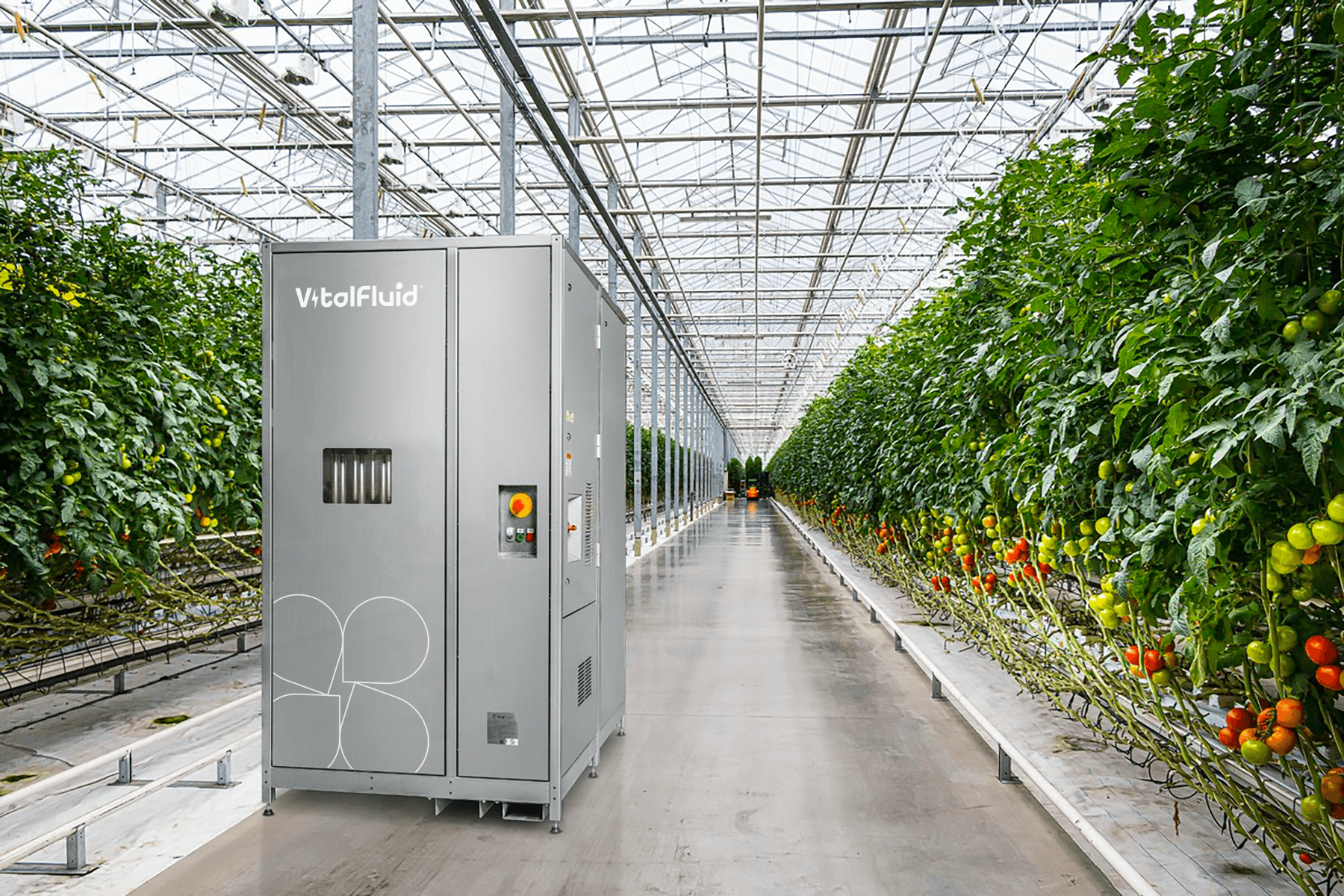 Vitalfluid machine