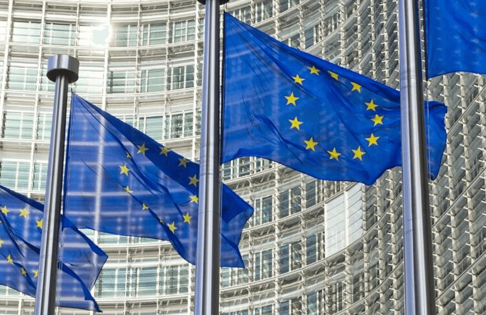 EU flags