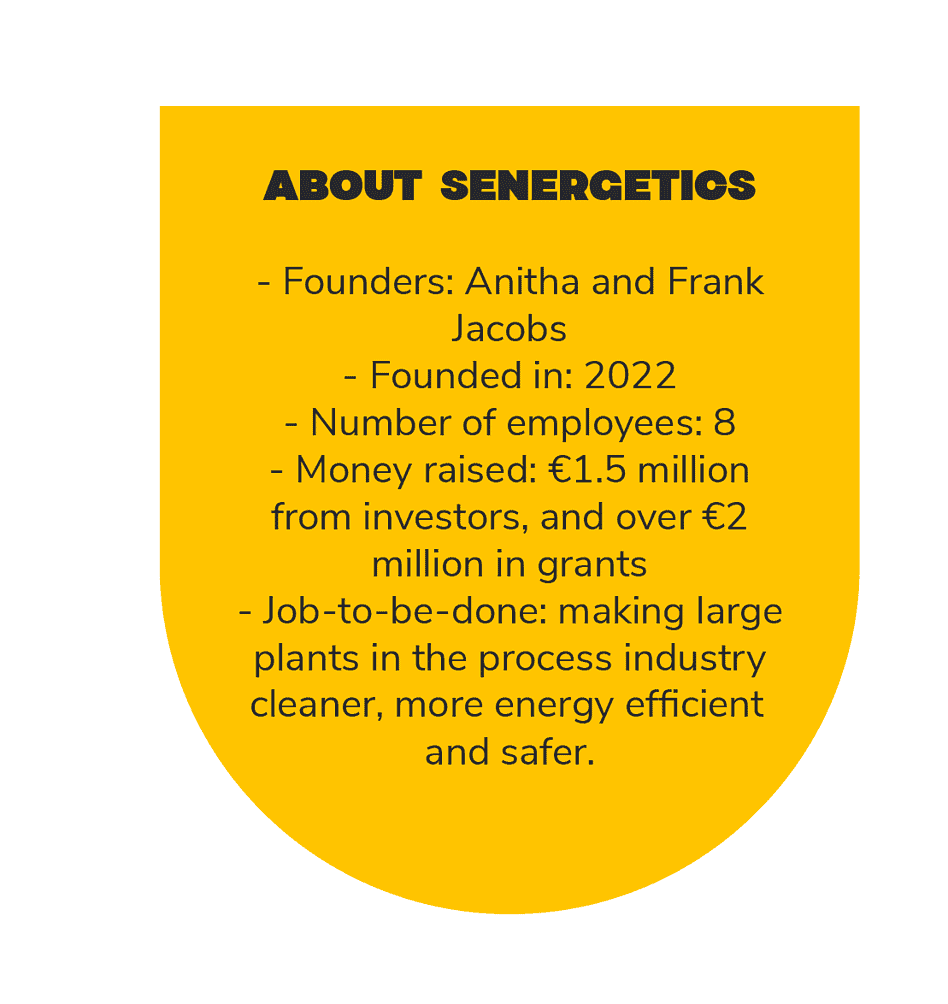 SENERGETICS-1-950x1004.png