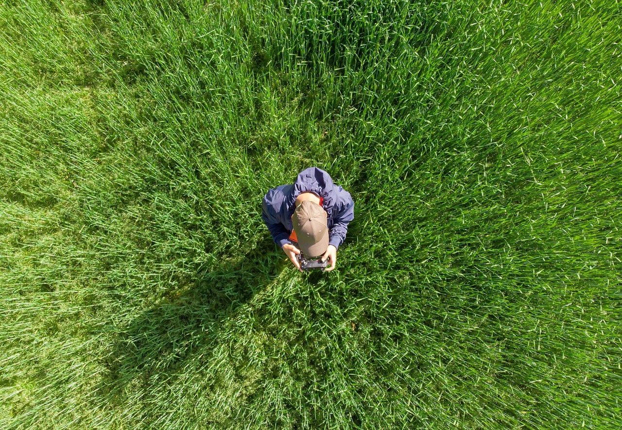 Drone perspective