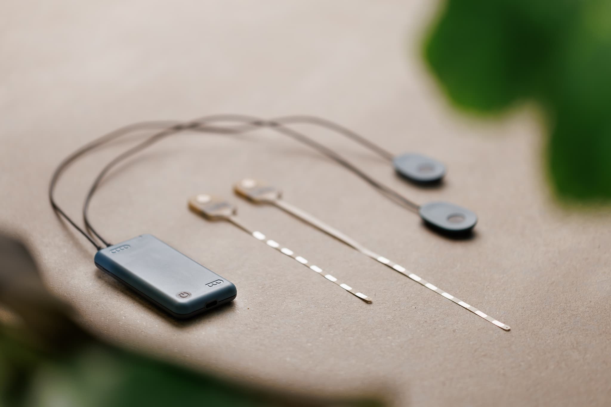 Salvia BioElectronics