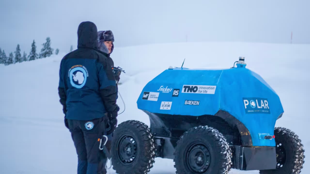 Team Polar Gentoo