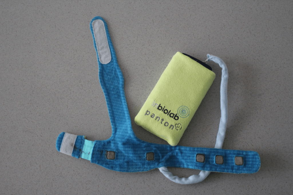 Bambi-Belt huidig prototype