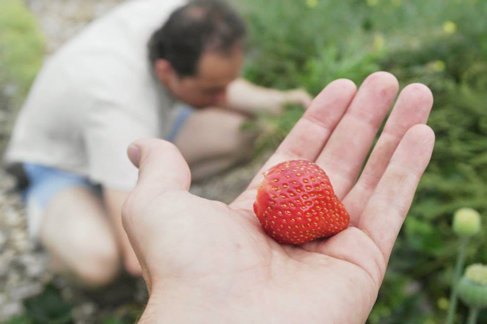 high tech campus community garden