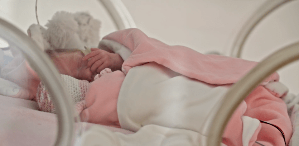 Screen Shot 2016-10-28 at 5.40.59 PM