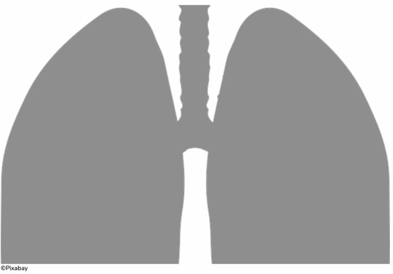lungs